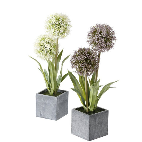 Plante i potte Deluxe Homeart 1