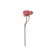 Peony Rose 60 cm