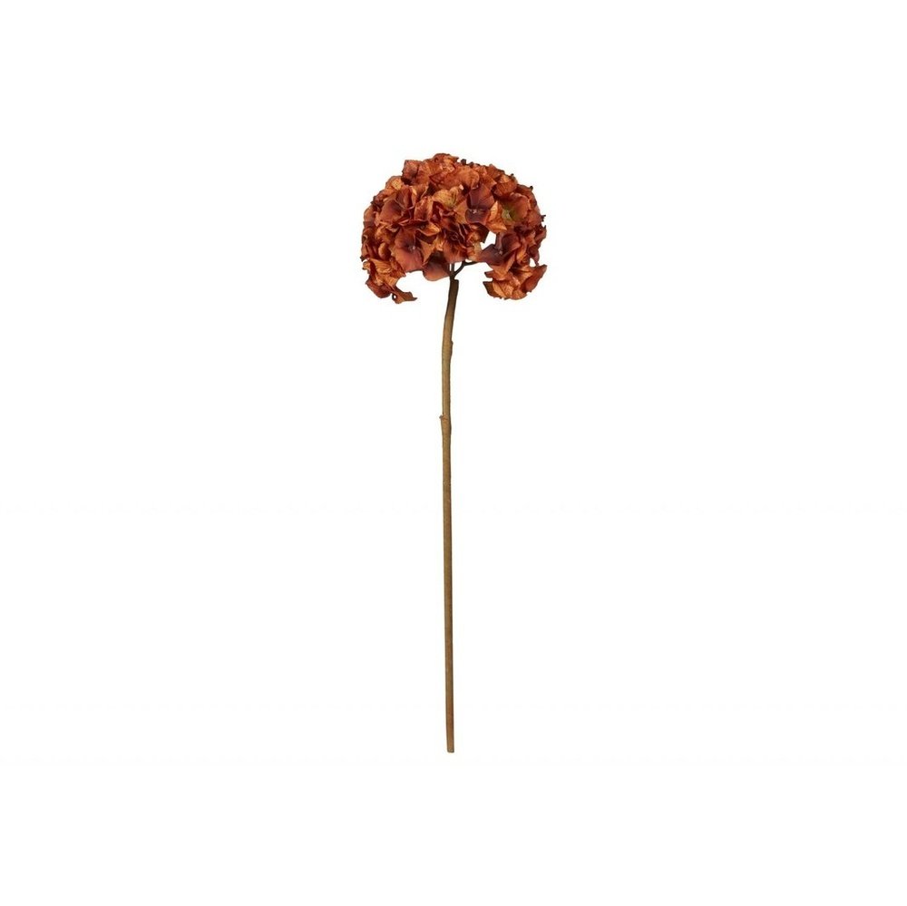 Hortensia blomster "Brun" 70cm
