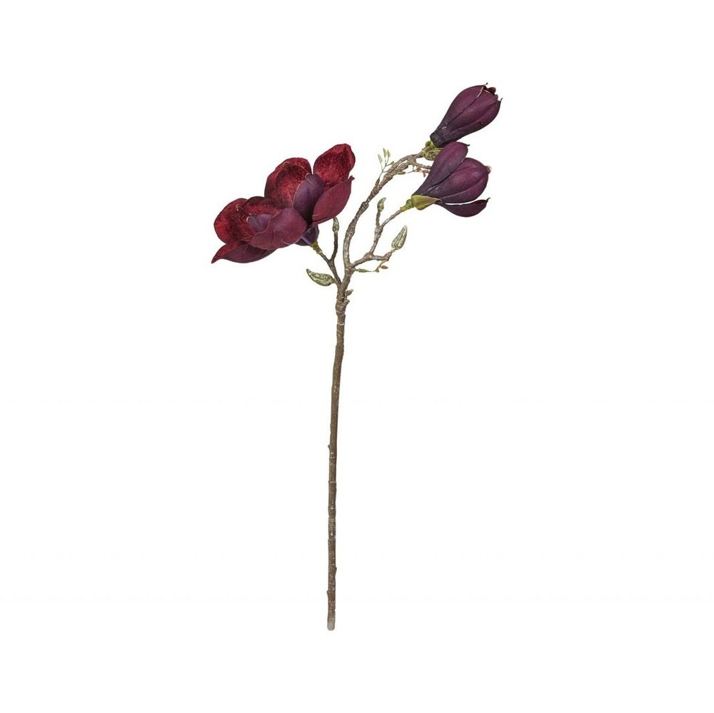 Flot magnolia gren "aubergine" 70 cm