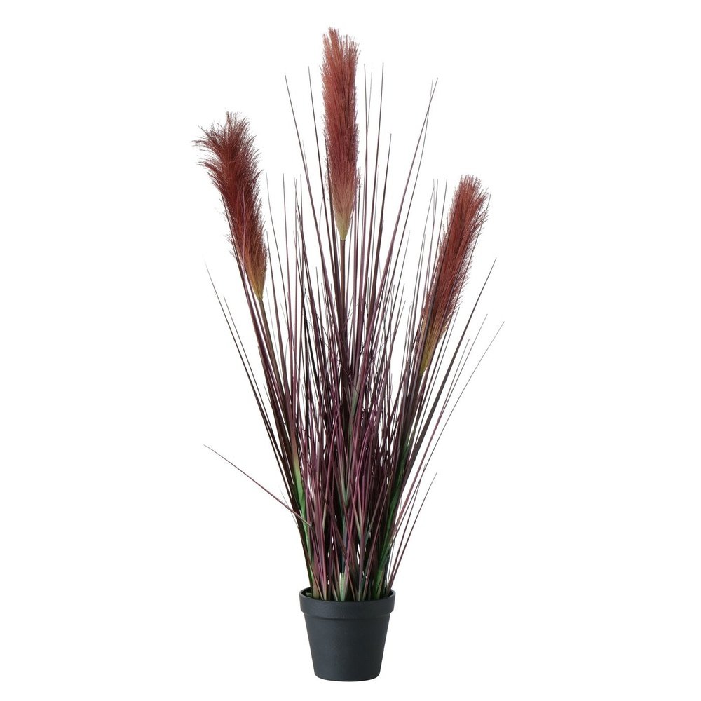 Plant in pot, Bristle Millet Deluxe Homeart 1