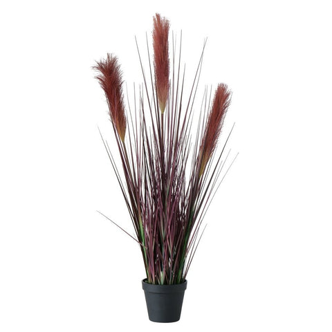 Plant in pot, Bristle Millet Deluxe Homeart 1
